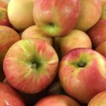 Honeycrisp was just the beginning: inside the quest to create the perfect  apple - Vox