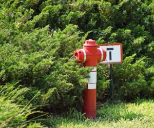 hydrant simplemost homeowners shrubs hydrants bushes