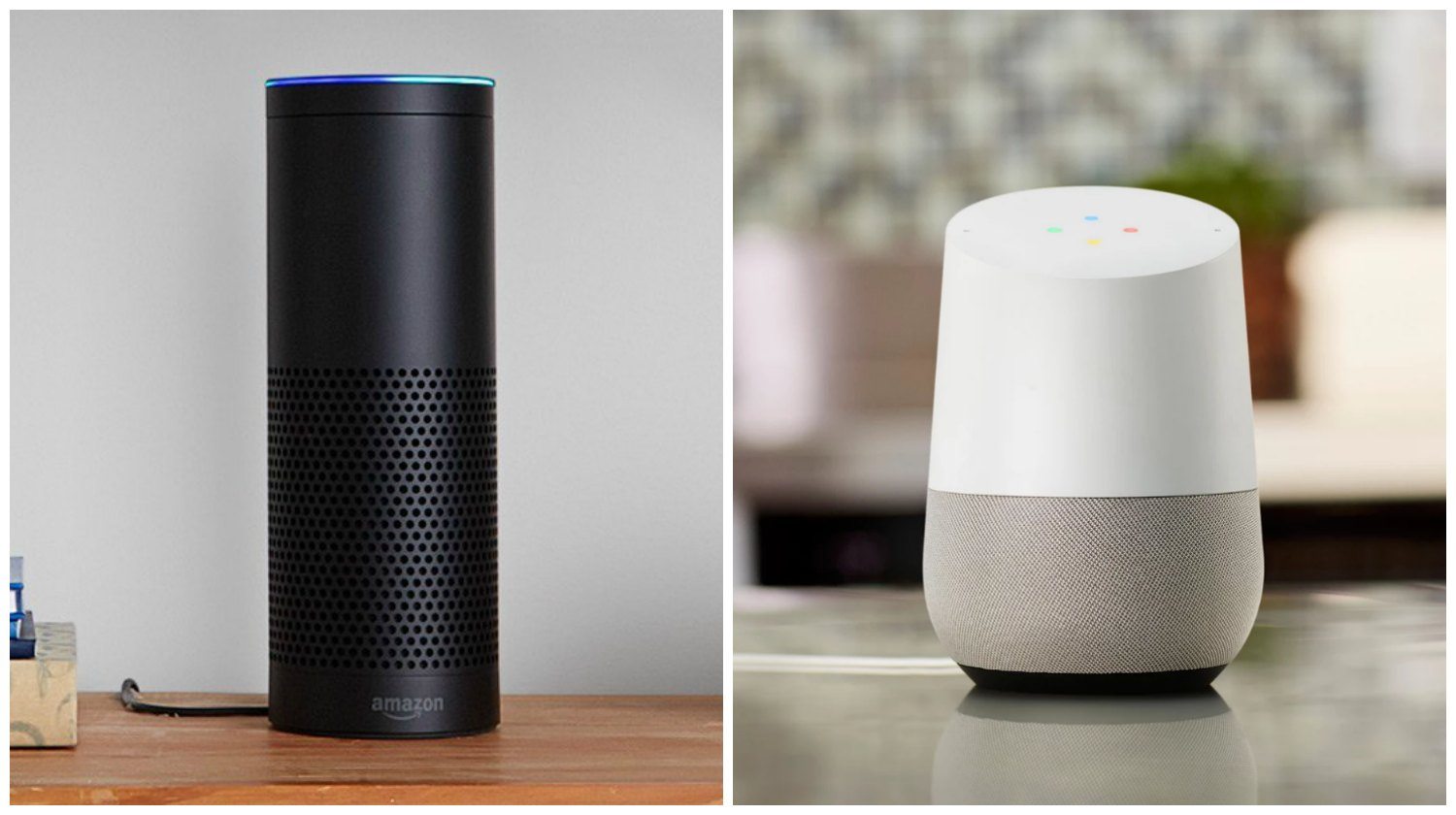 what's the difference between google home and echo dot