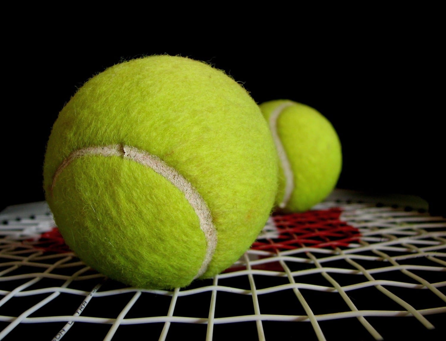 tennis ball photo