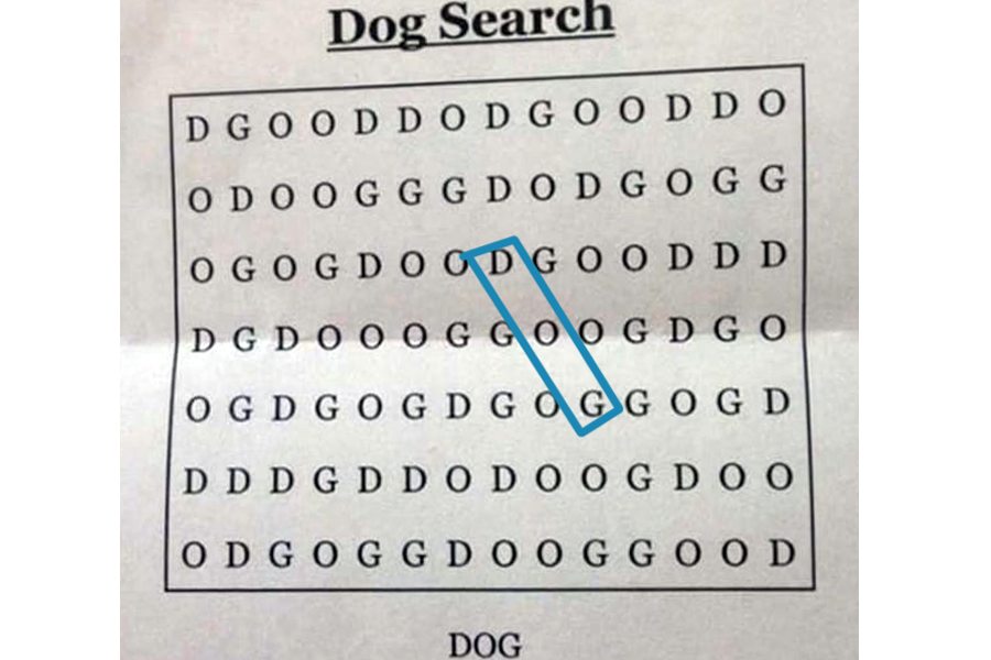 The 'World's Hardest Word Search' Answer