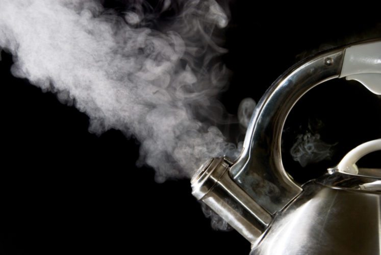 Stainless steel tea kettle steams