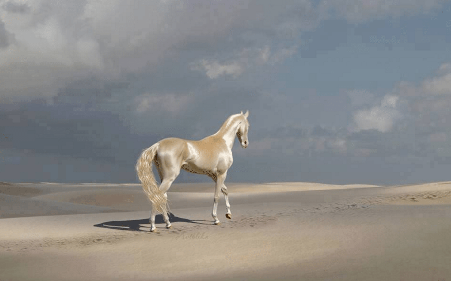 Akhal-Teke Horses Are 'Most Beautiful In The World' - Simplemost