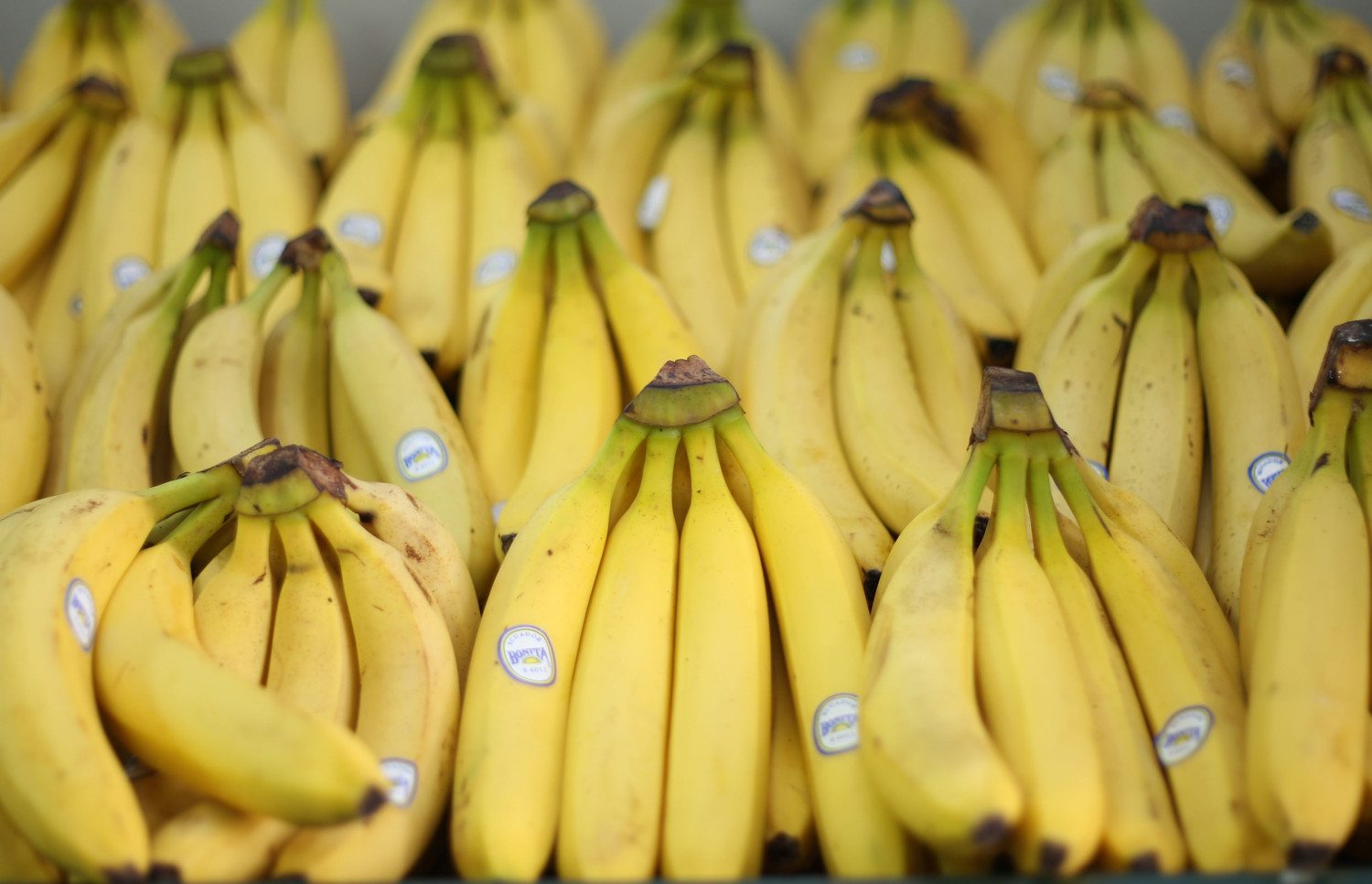 at-risk foods bananas photo