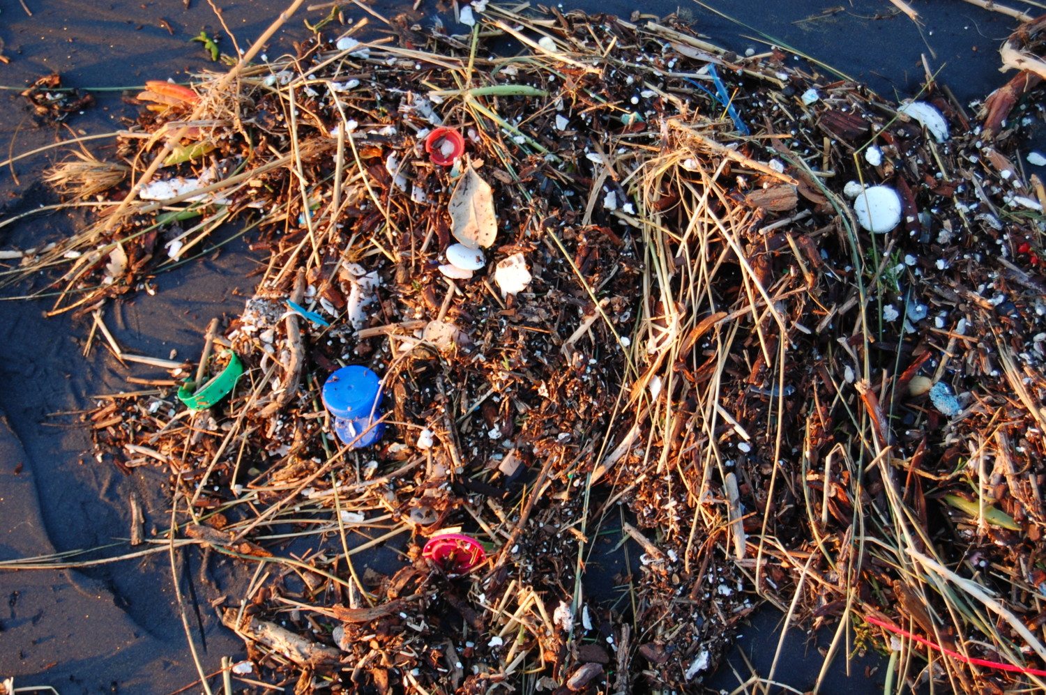 pacific garbage patch photo