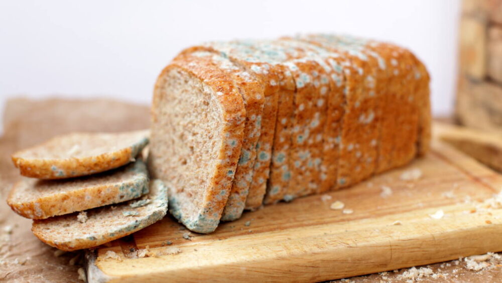 a sliced loaf of moldy bread on a cutting board