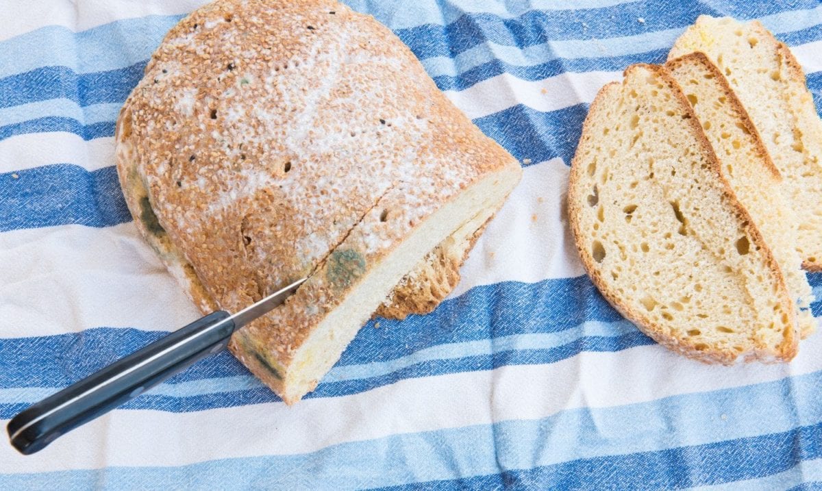 Why You Can't Just Slice The Mold Off A Loaf Of Bread And Eat The Rest