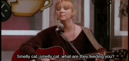 smelly cat