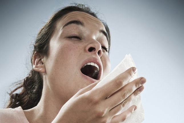 sneezing photo allergy
