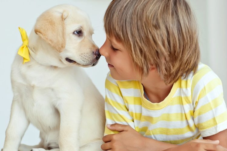 Best Dogs For Kids And Families - Simplemost