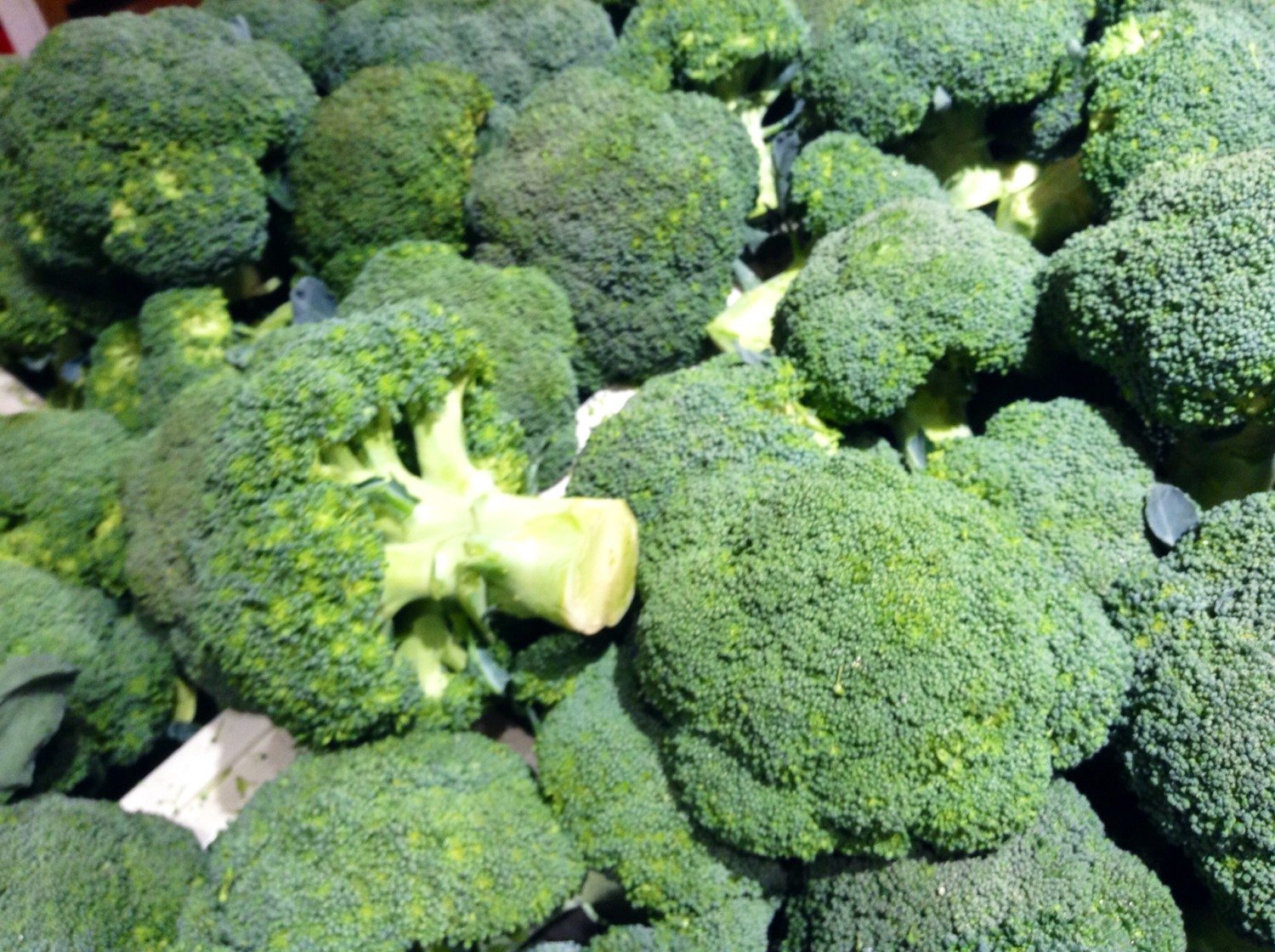 broccoli photo type 2 diabetes