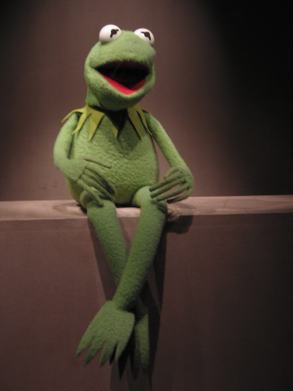 Kermit the frog photo