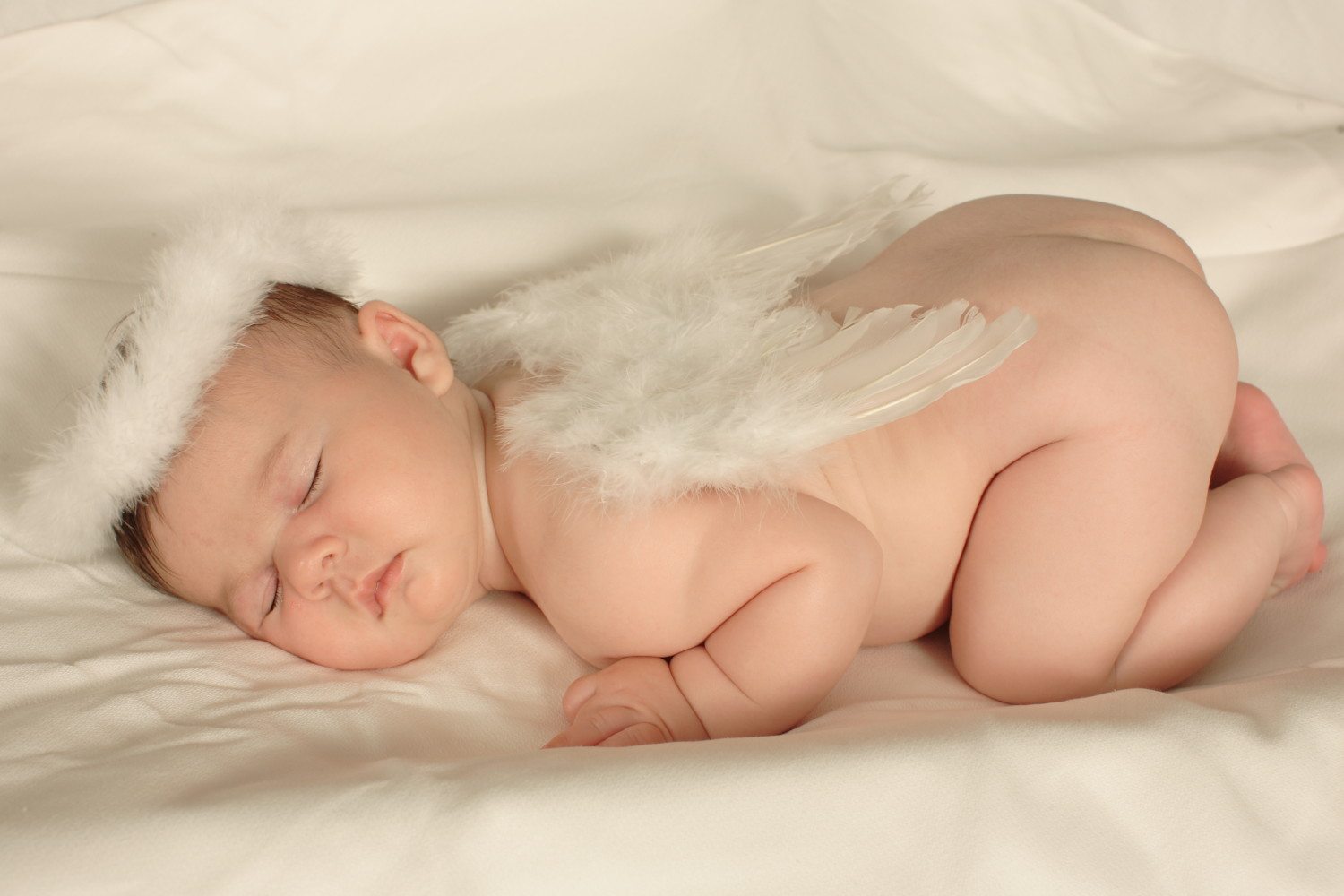 baby angel wings photo