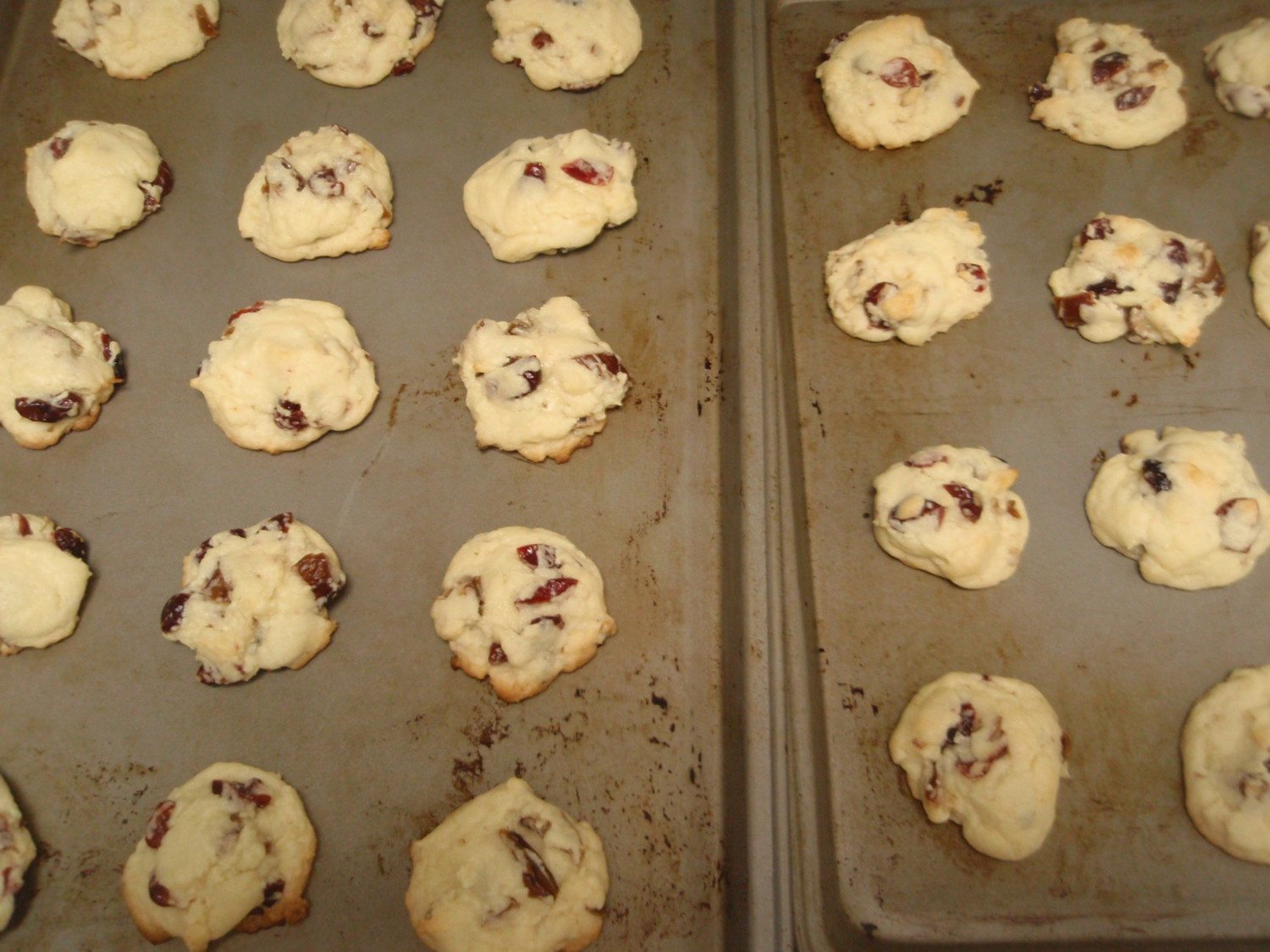 baking cookies photo