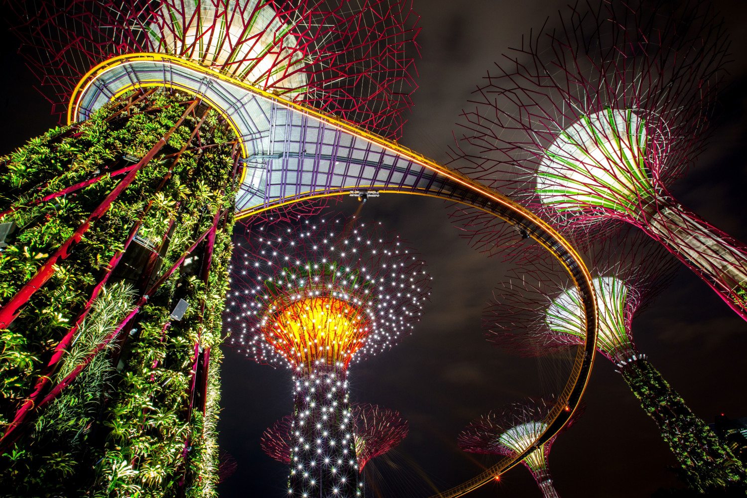 gardens by the bay photo