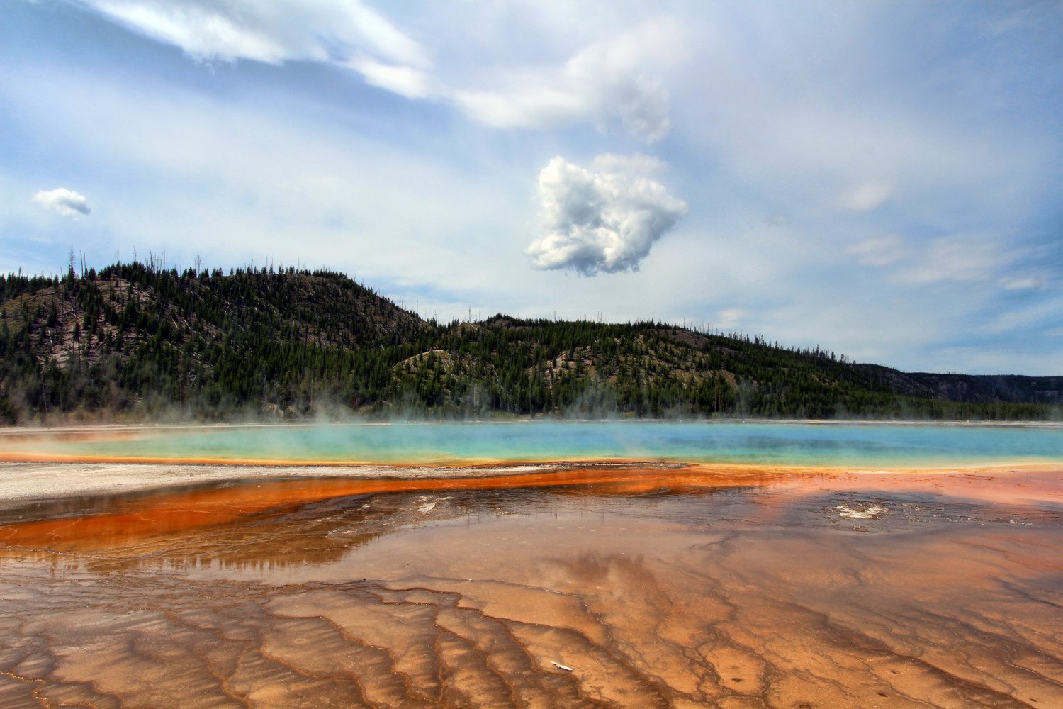 wyoming yellowstone national park photo