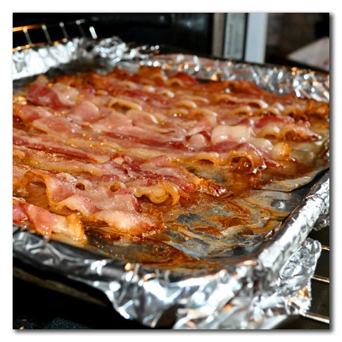 bacon oven photo