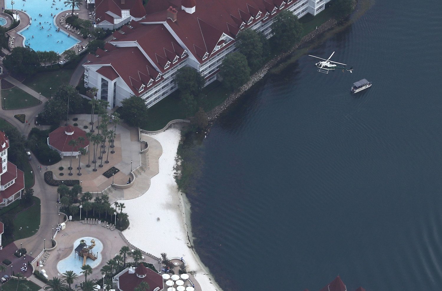 Alligator Snatches 2-Year-Old Boy From Lake At Disney Resort photo