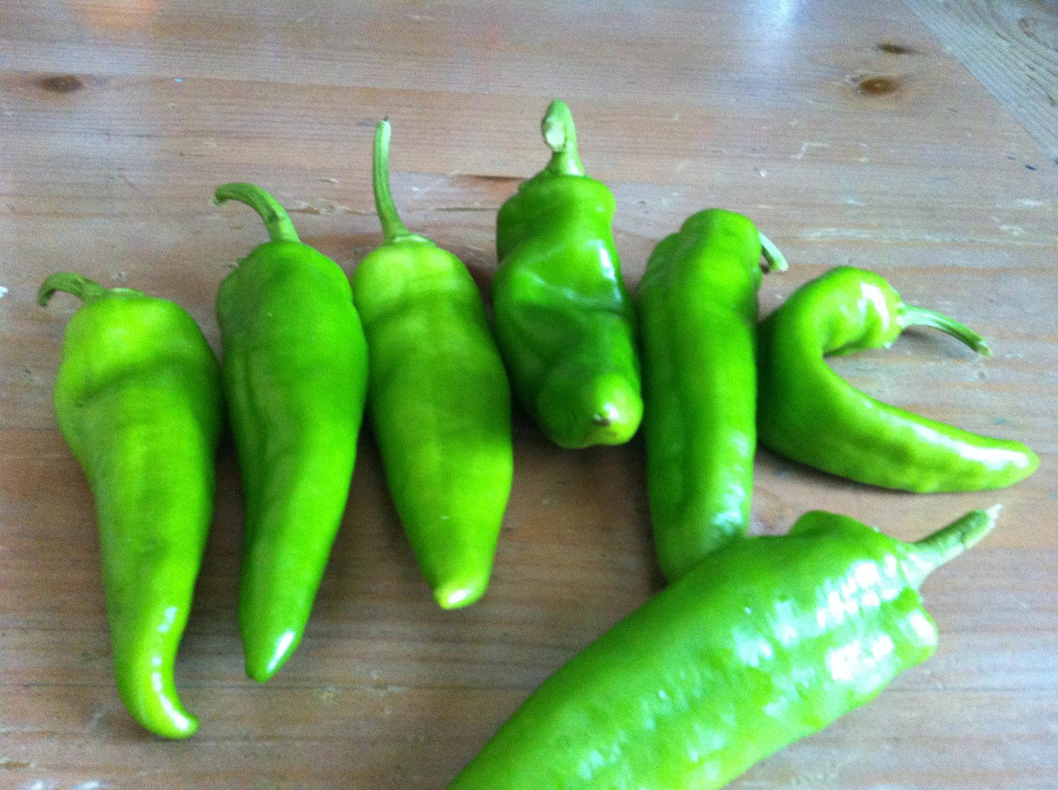 green chiles photo