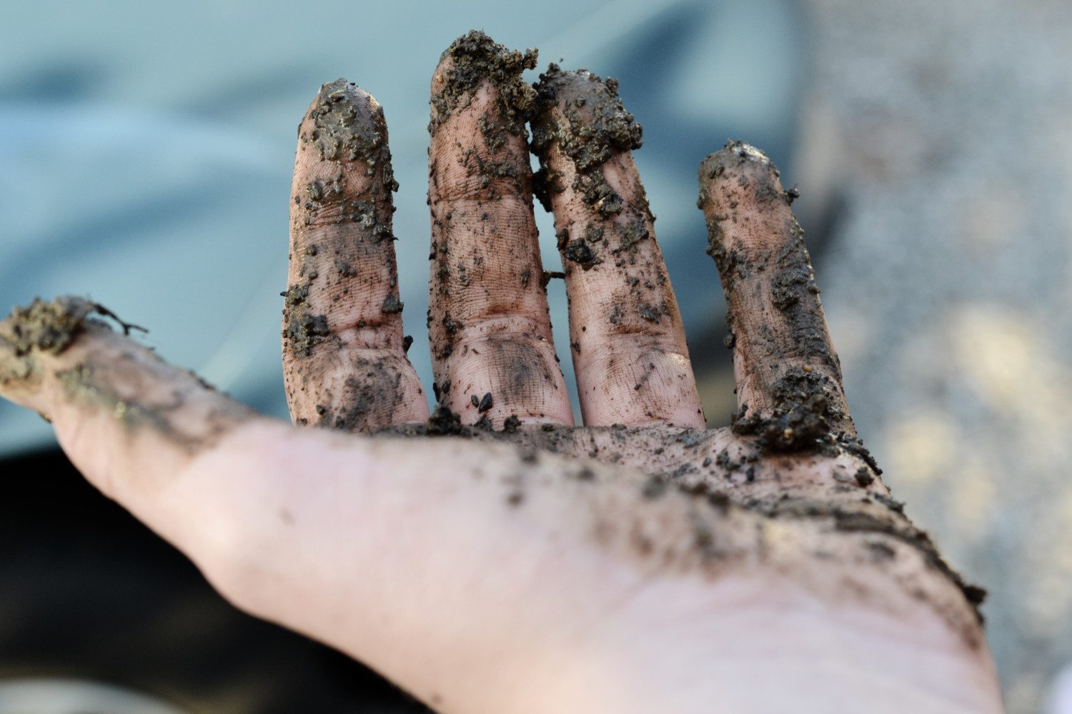 dirt on hands photo