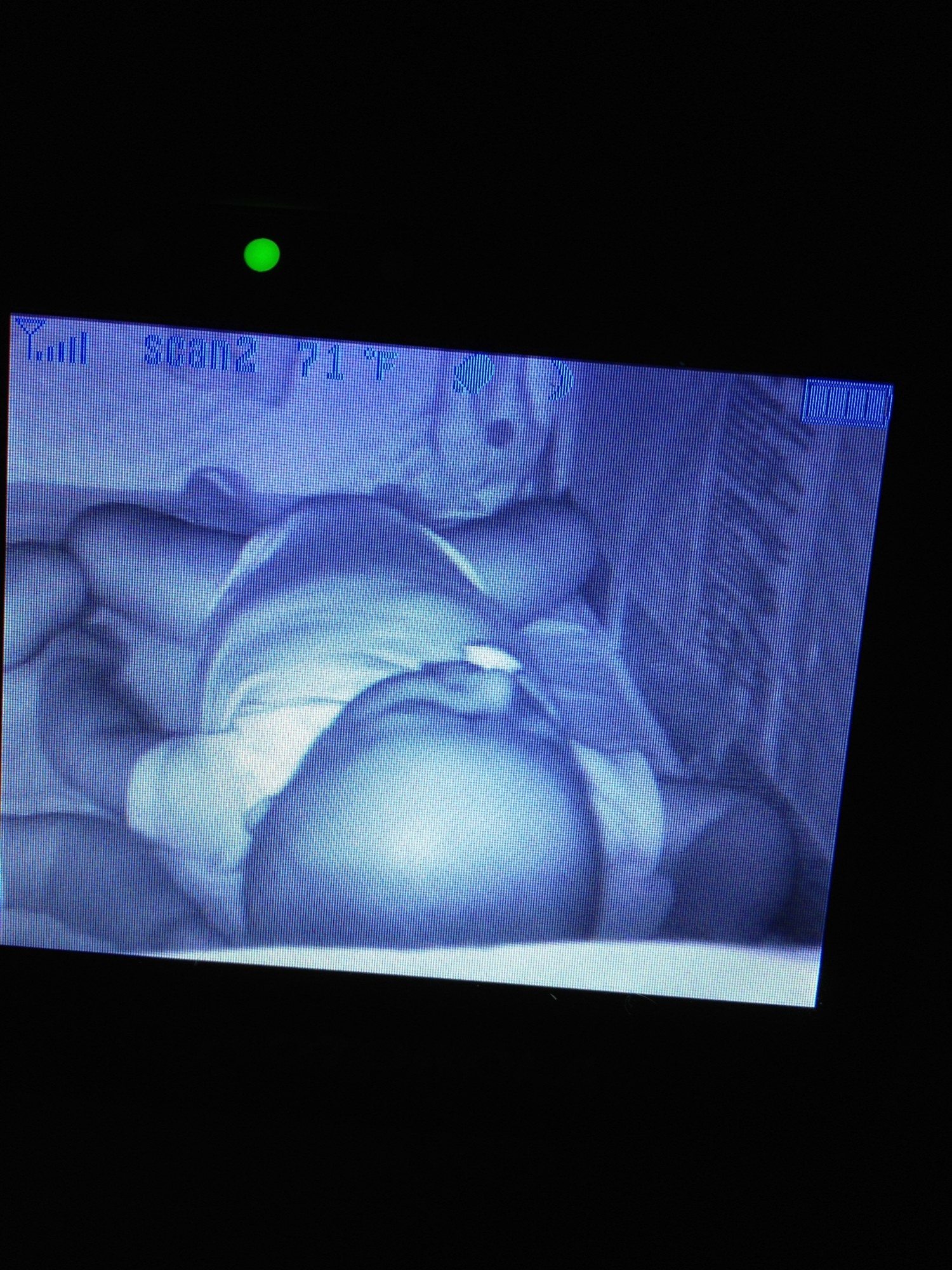 baby in crib monitor photo