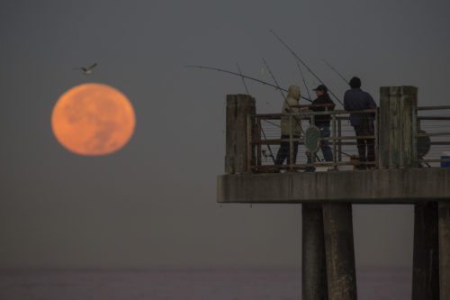 Why The October Harvest Moon Will Be So Special