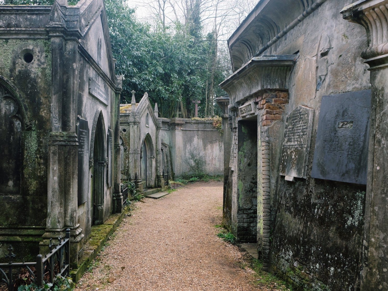 Highgate Cemetery, London. Fujifilm.