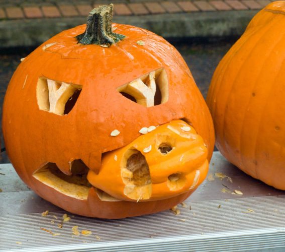 5 ways to stop your pumpkin from rotting before Halloween