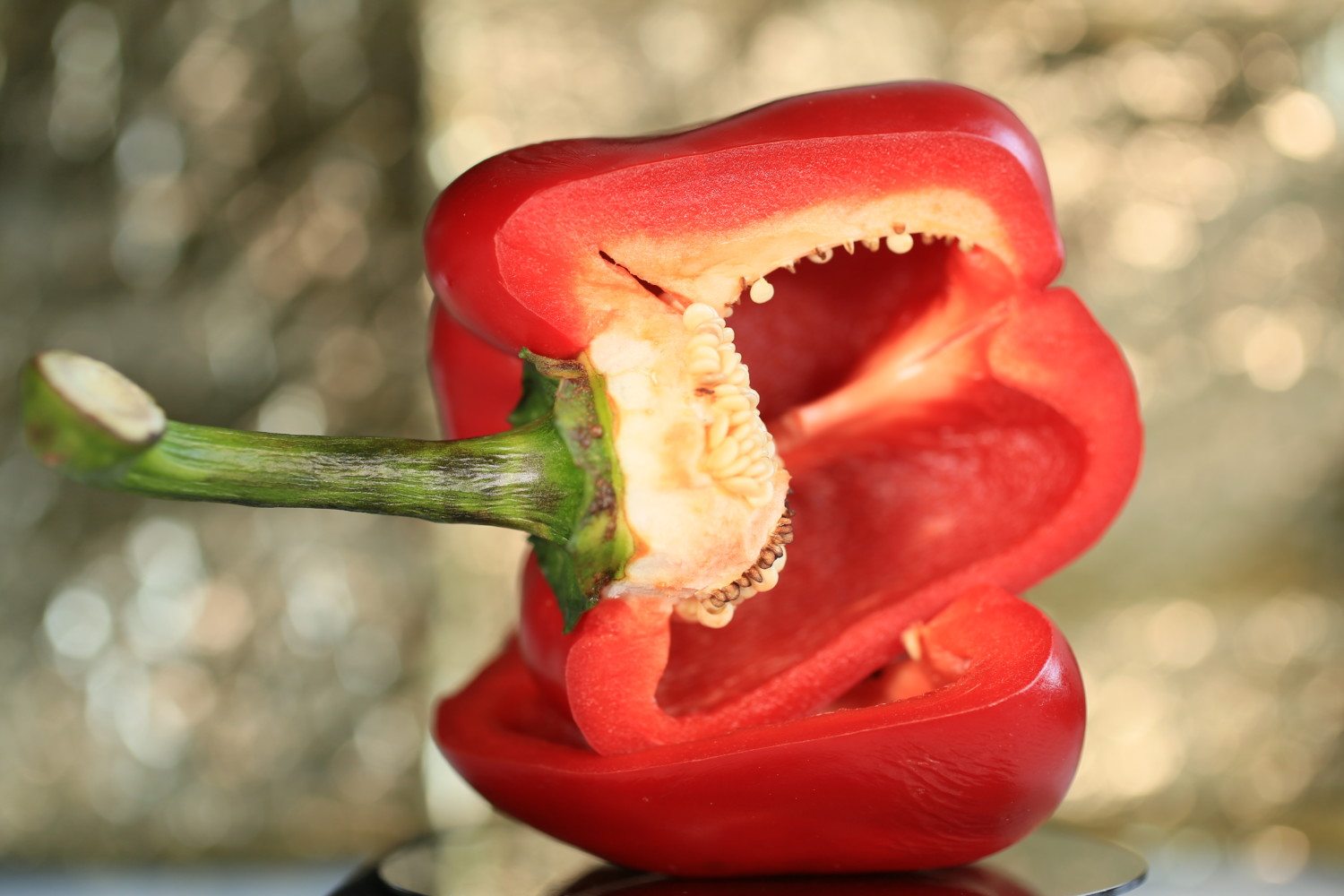 red bell pepper photo