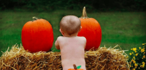 baby pumpkin butts