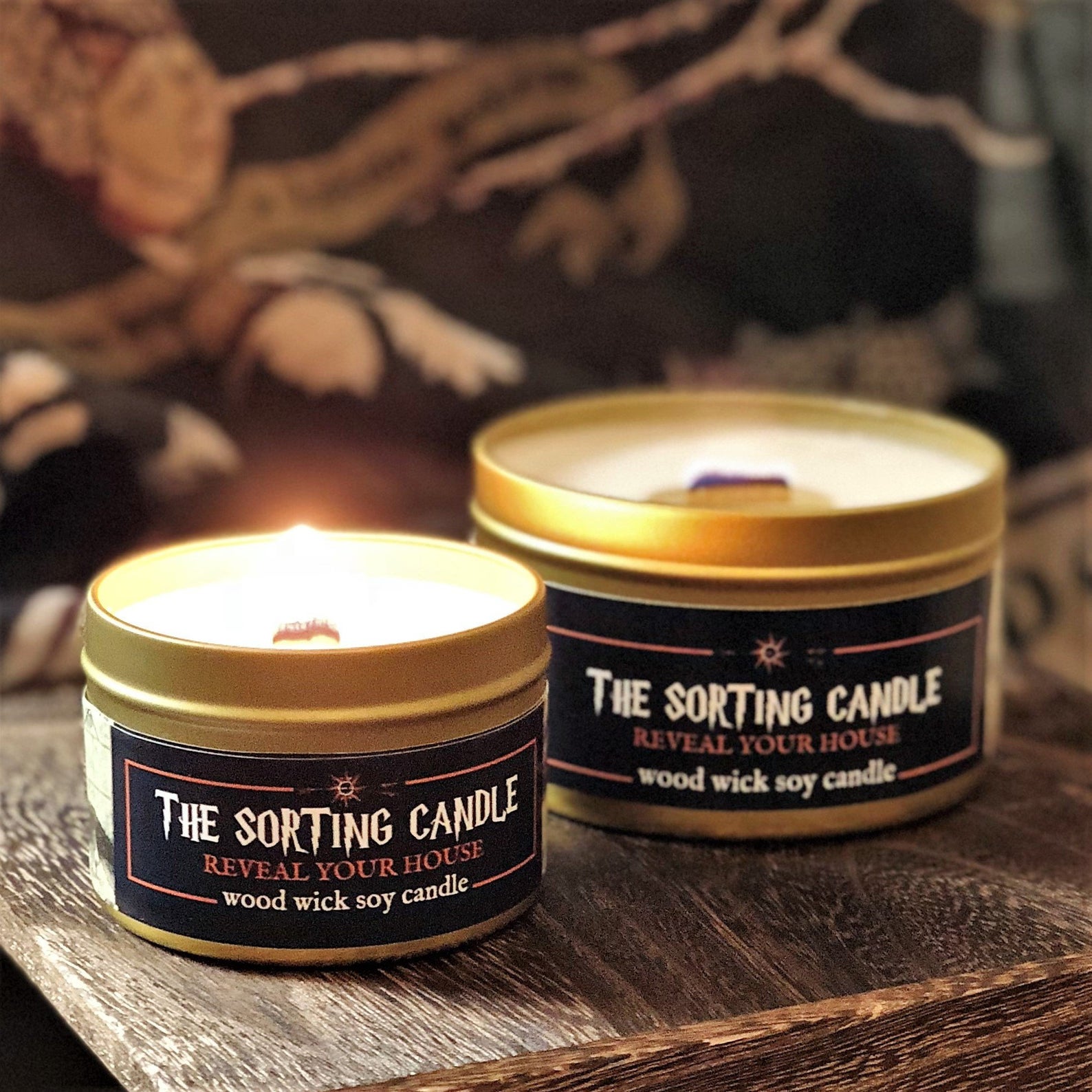 Harry Potter Sorting Candle on Etsy