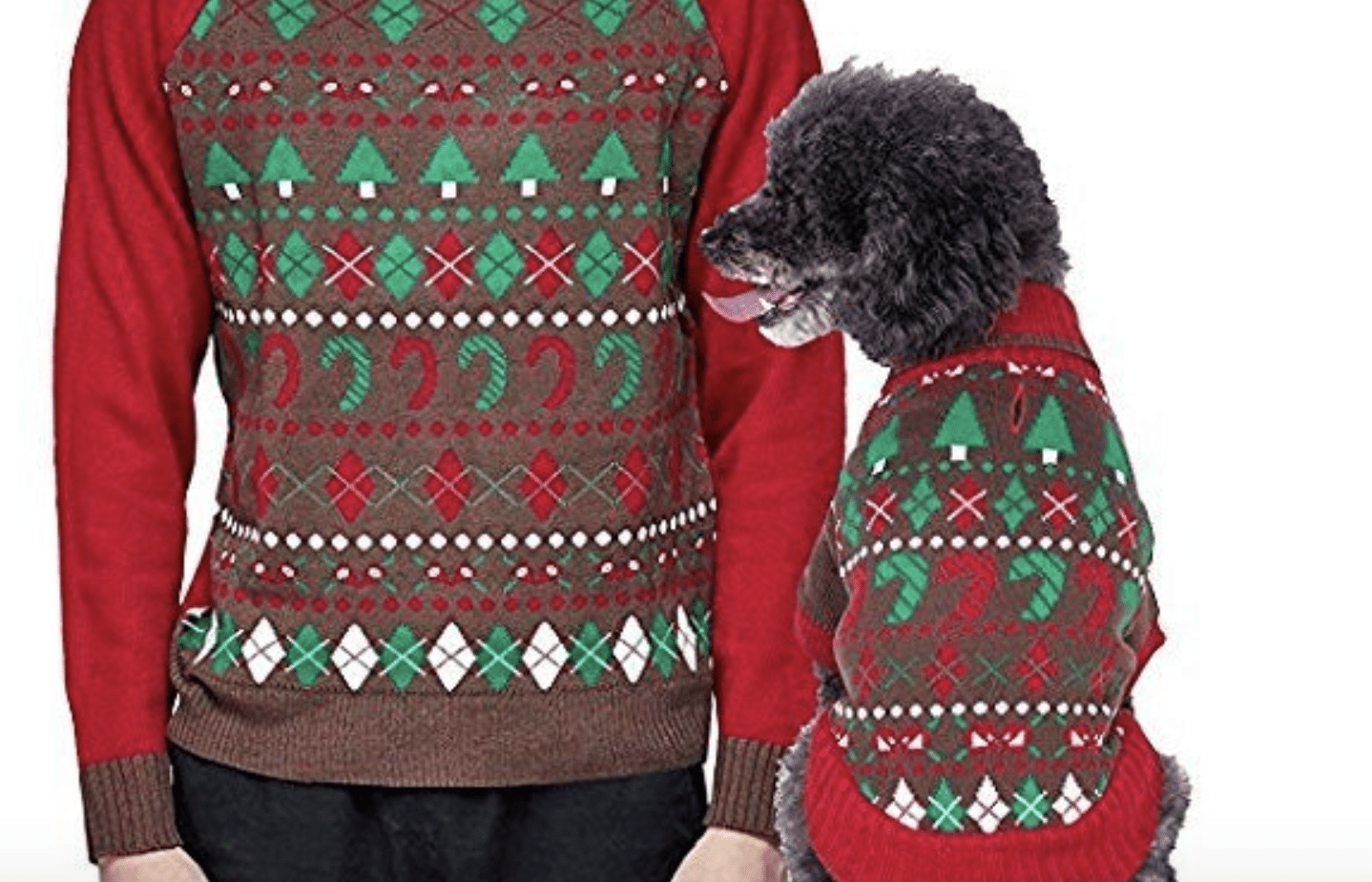 matching holiday sweater
