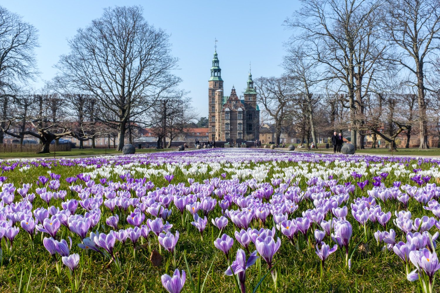 Spring in Kongens Have, Copenhagen
