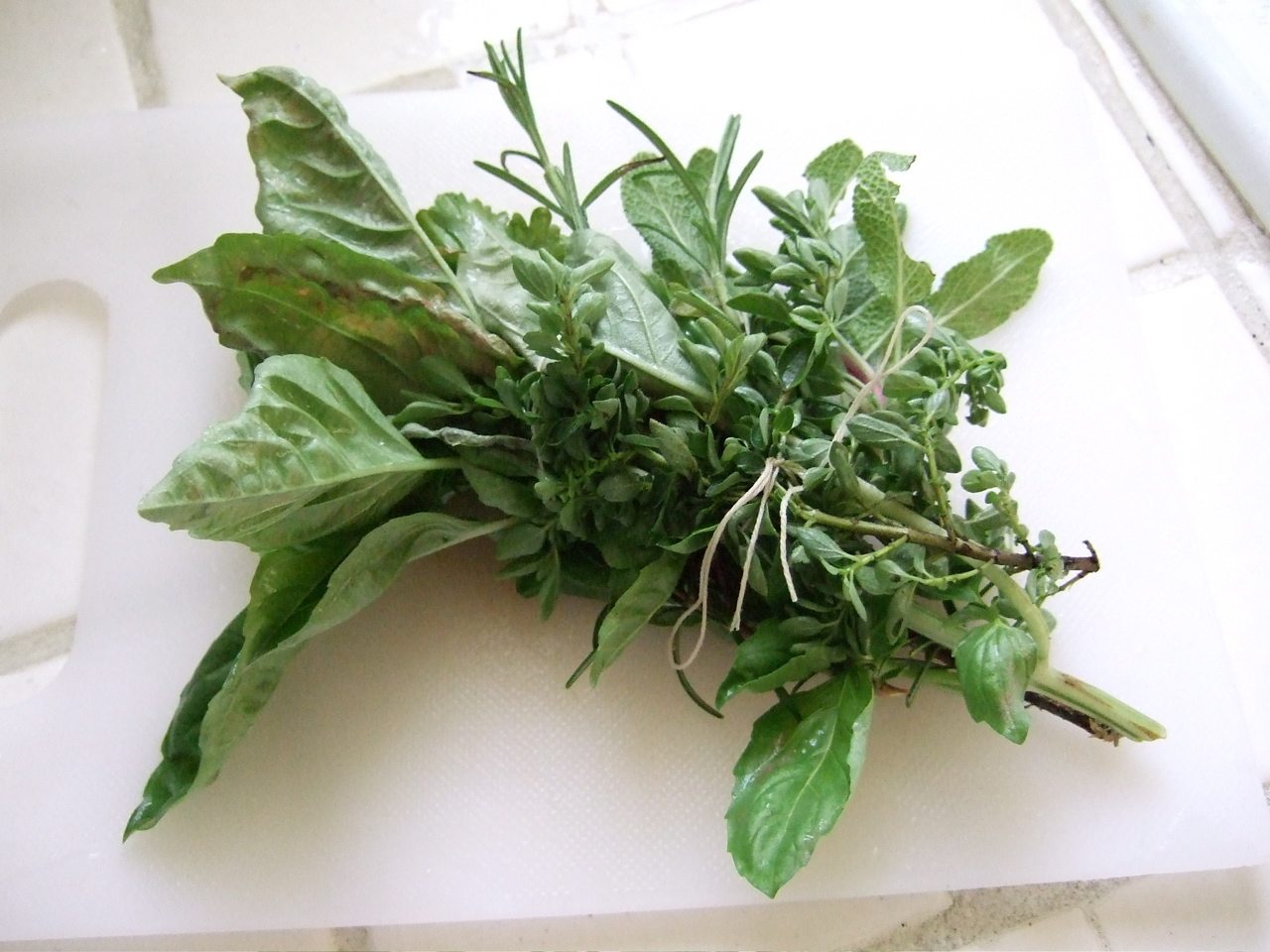 cooking herbs photo