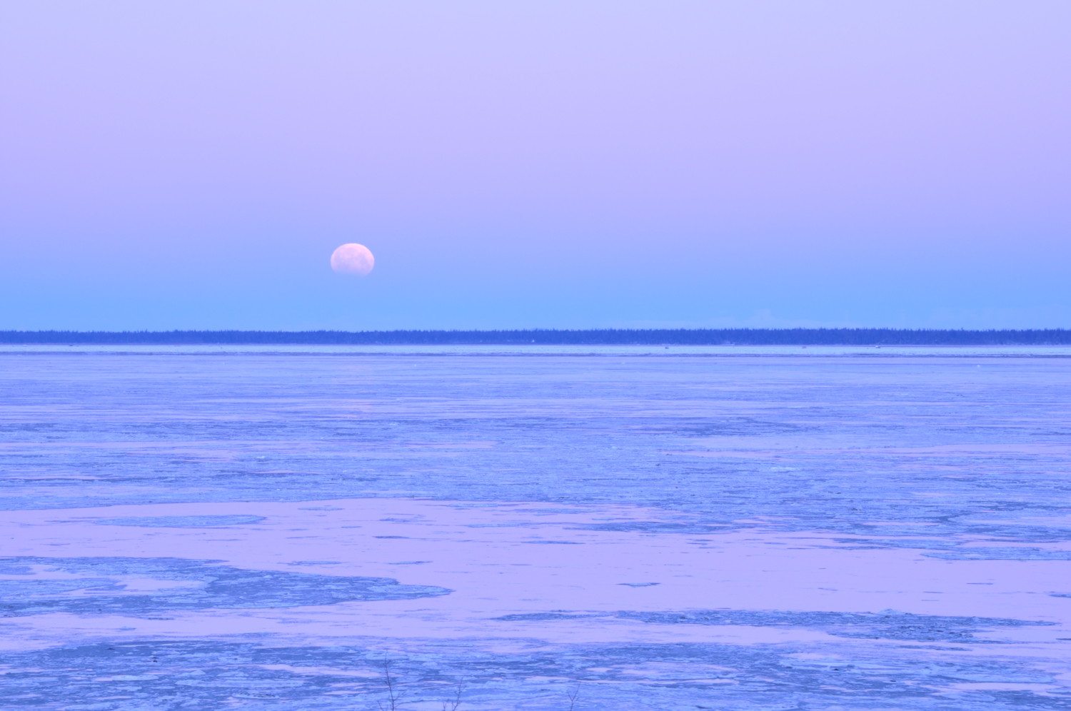 lunar eclipse alaska photo
