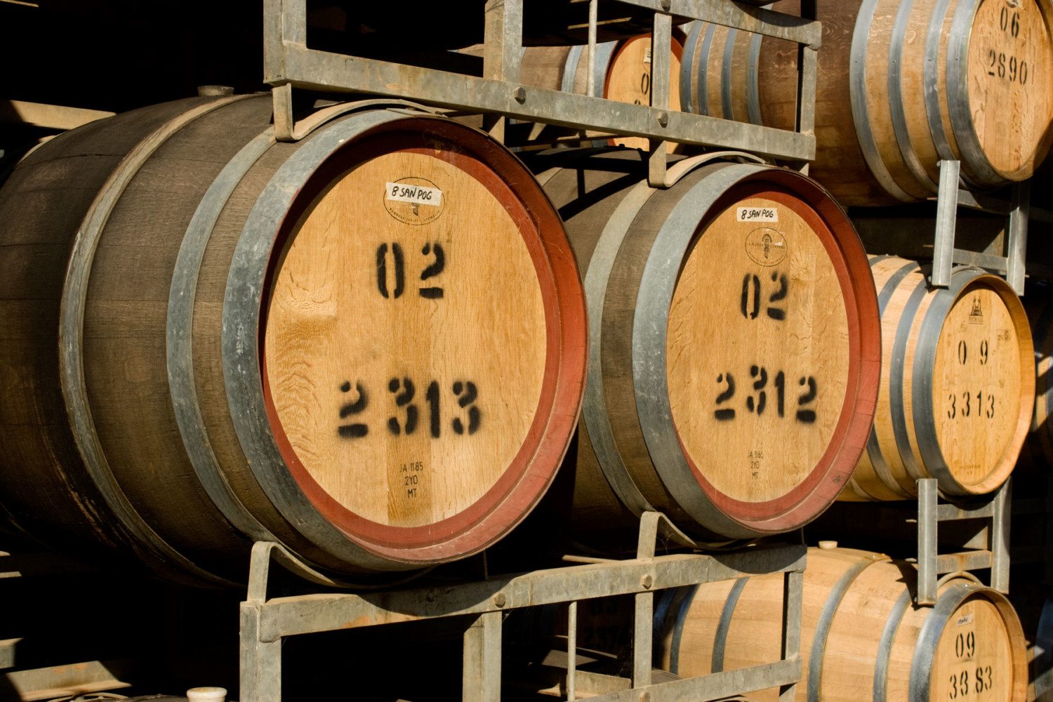 wine barrel photo