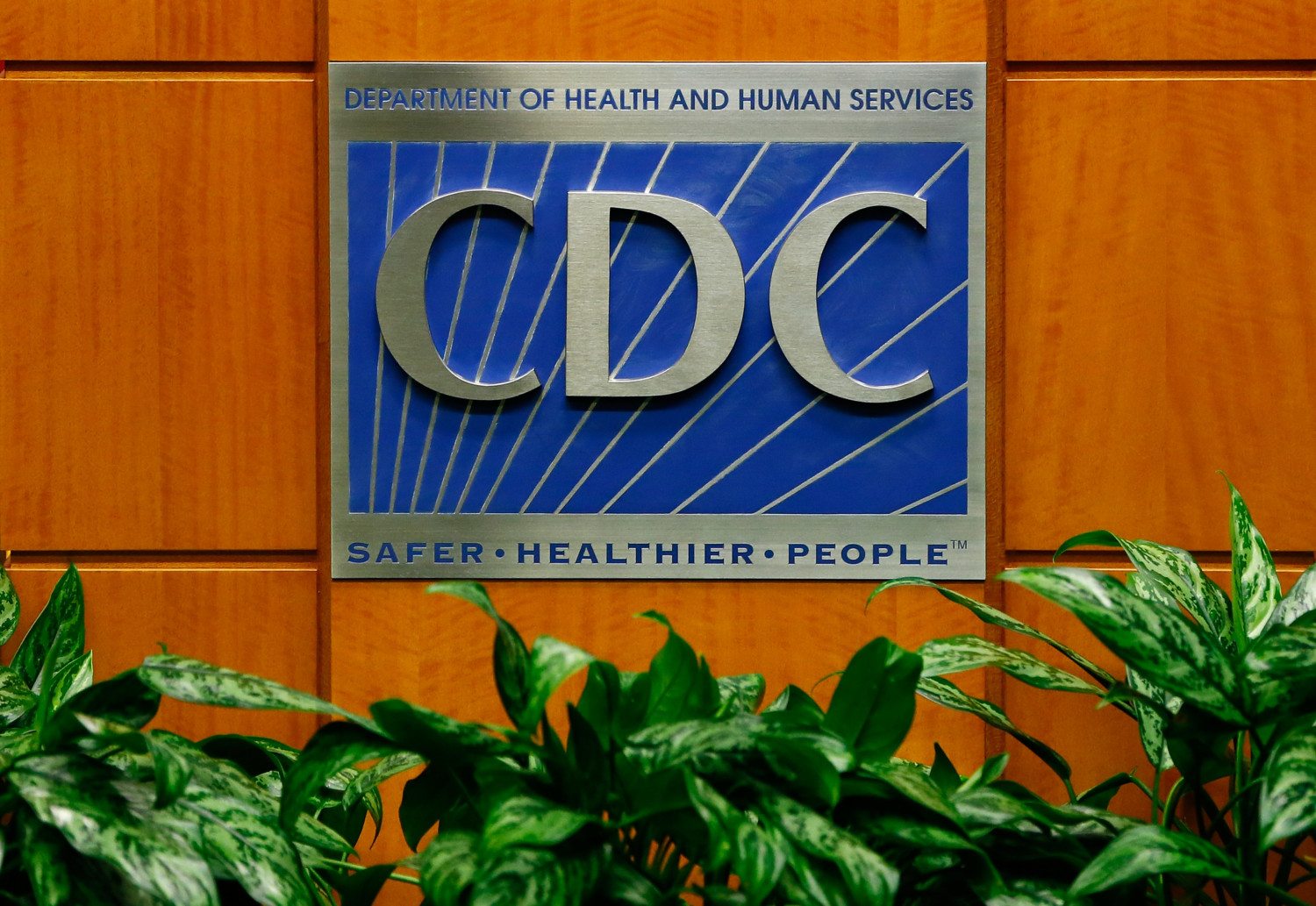 centers for disease control photo