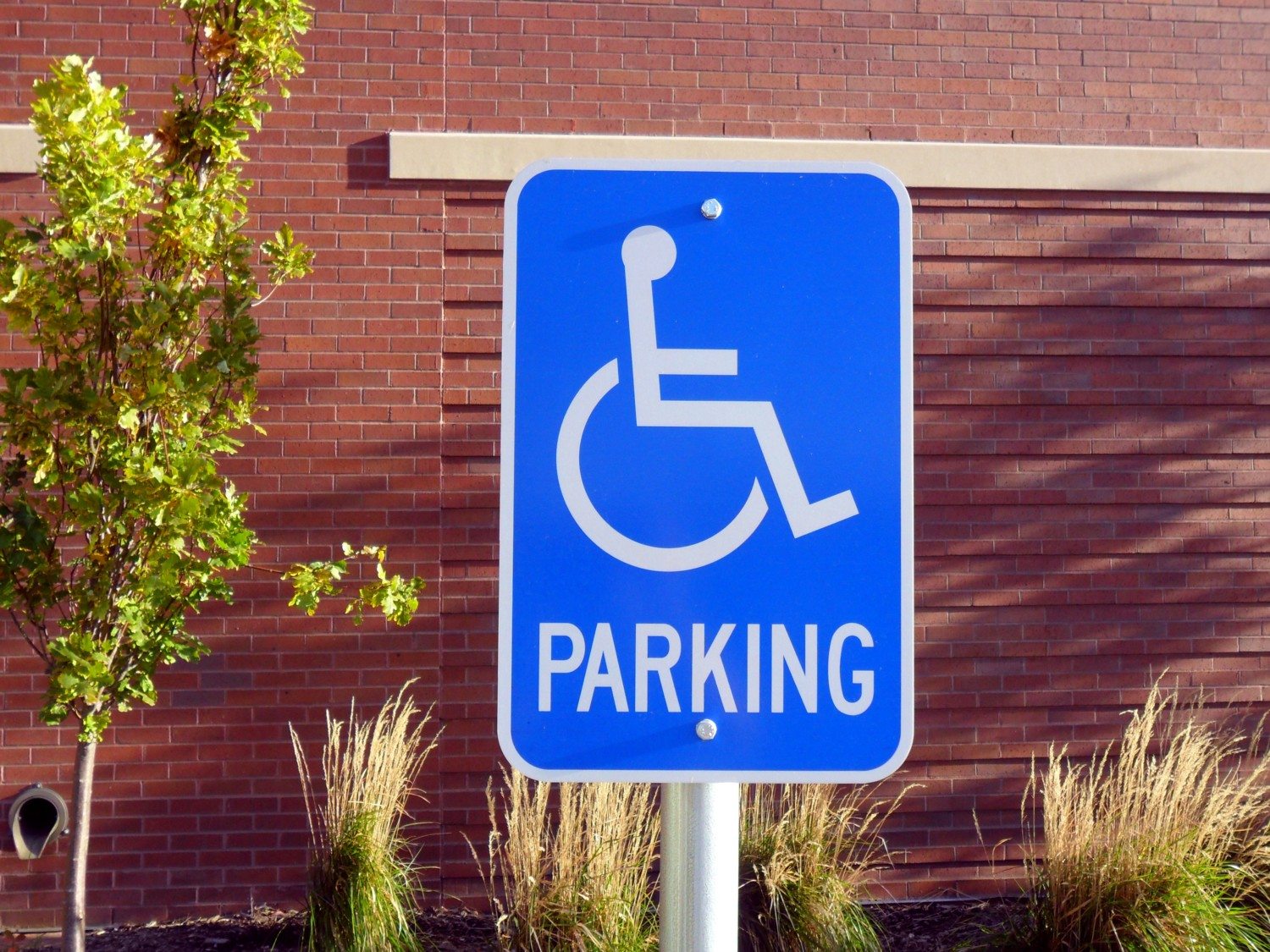handicapped parking photo