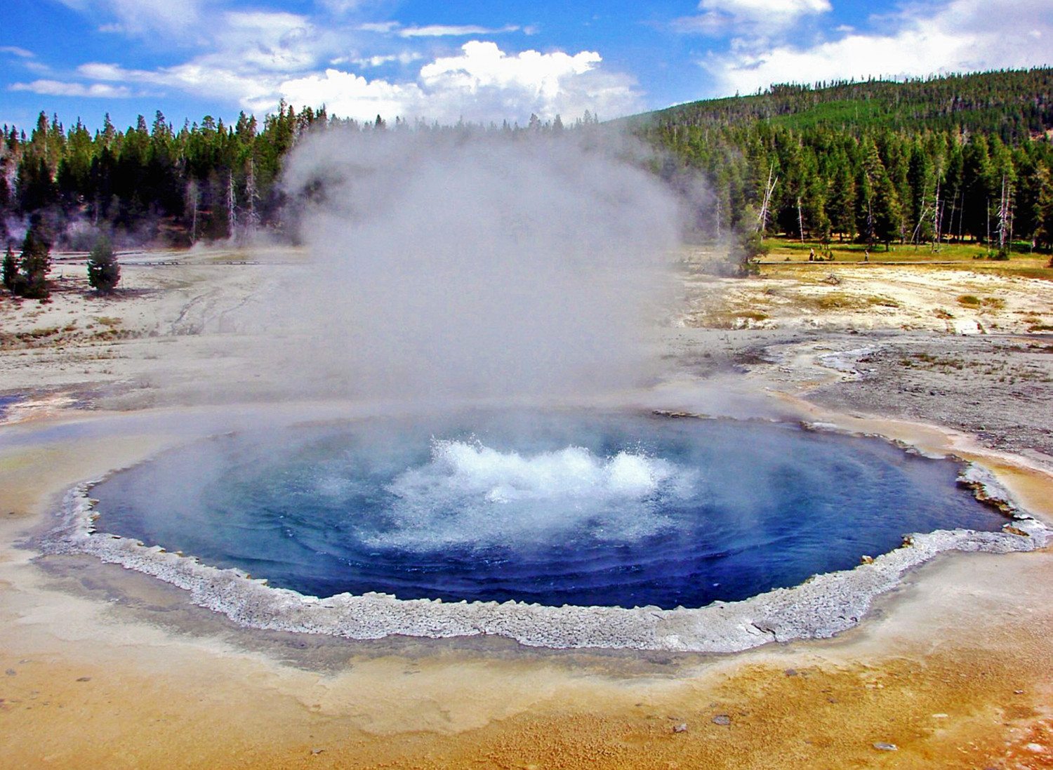 Yellowstone national park geyser photo