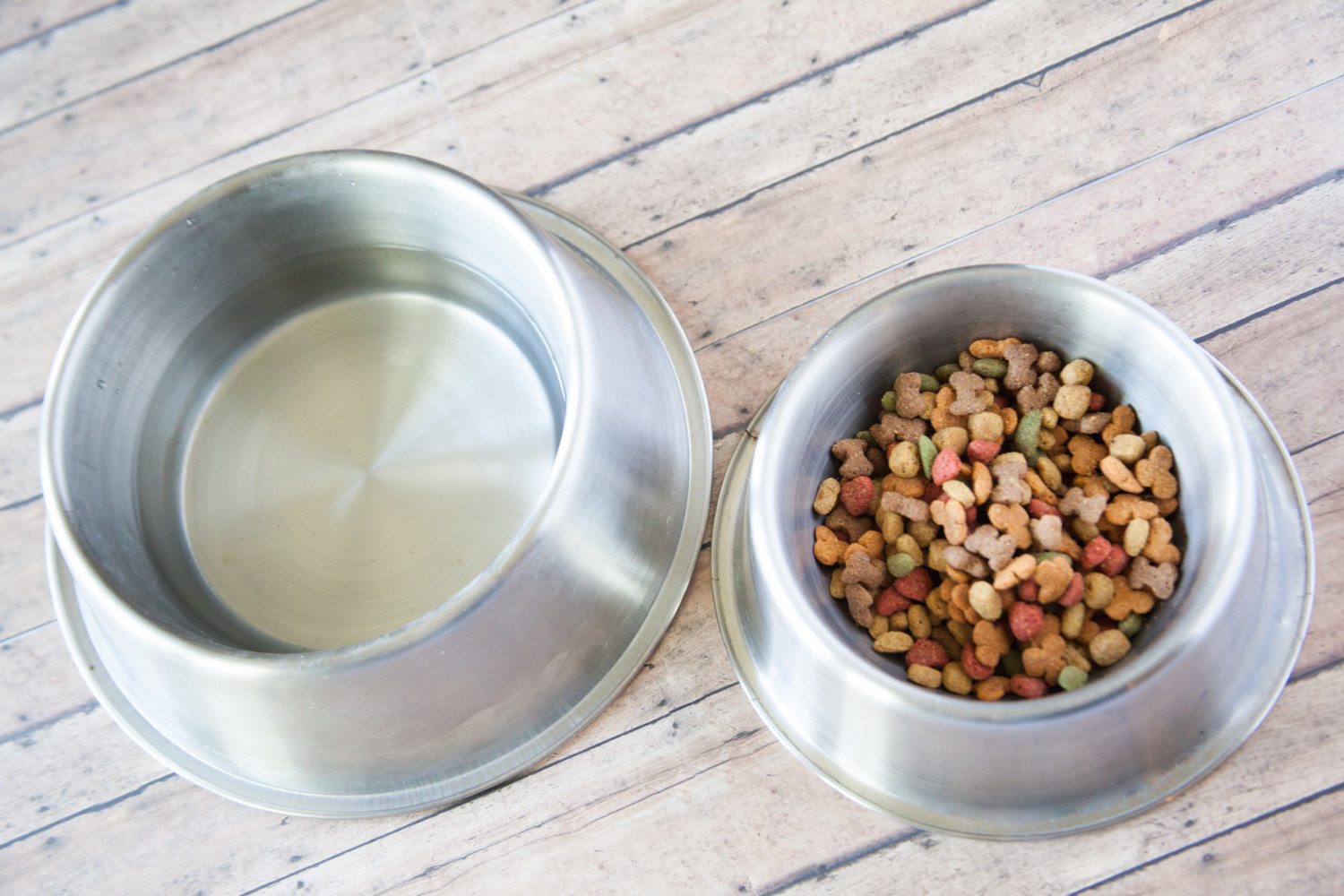 a pet's food and water bowl