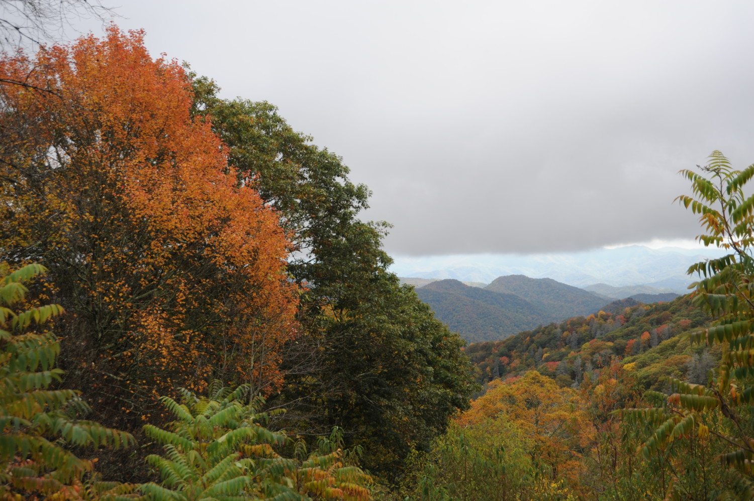 fall Great Smoky Mountains national park photo