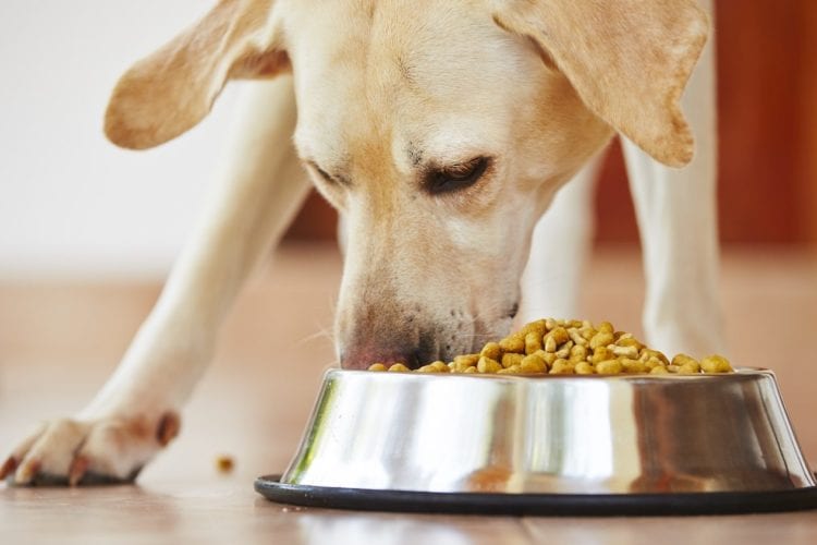 dog food with high vitamin d