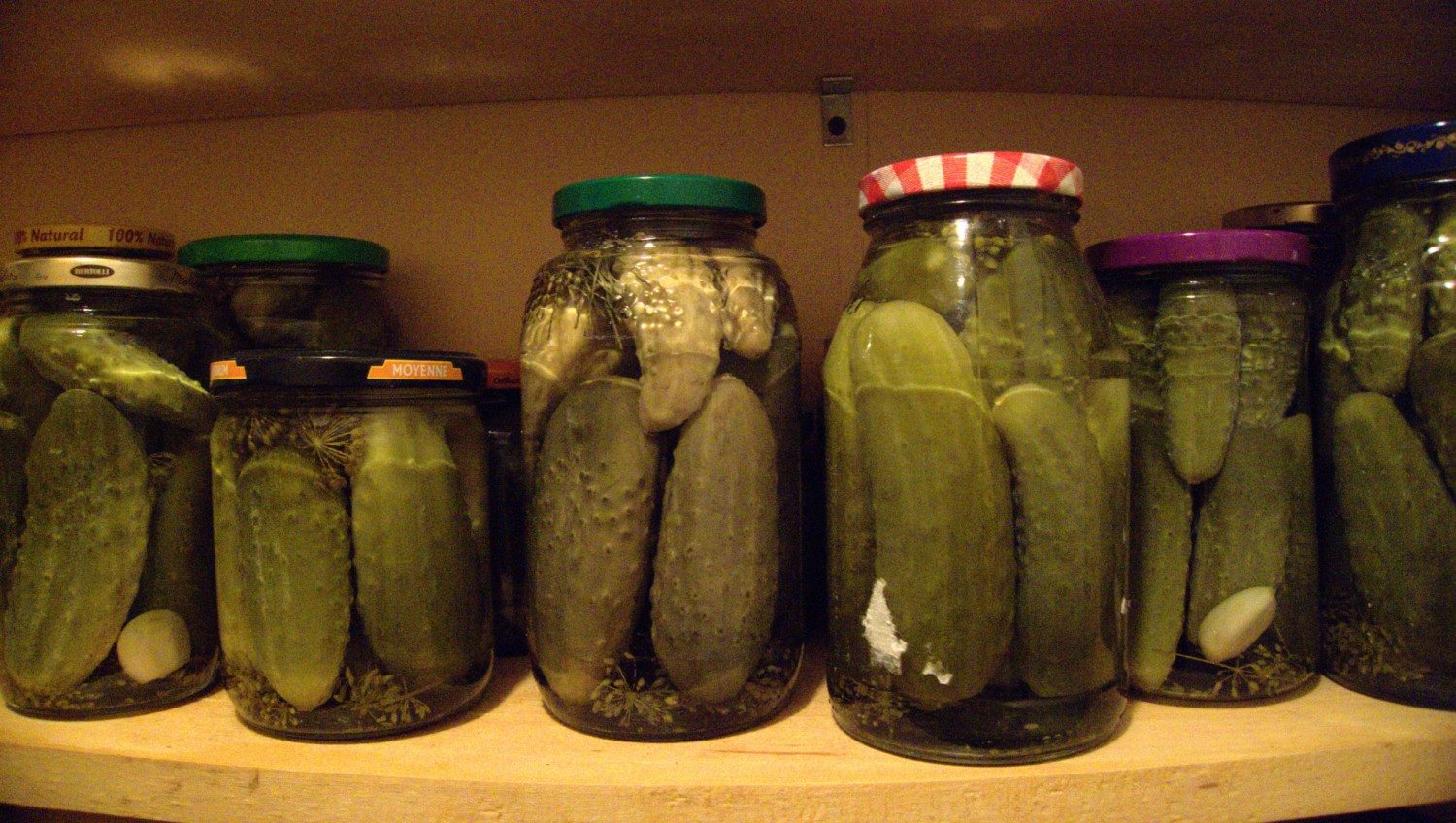 pickle jar photo