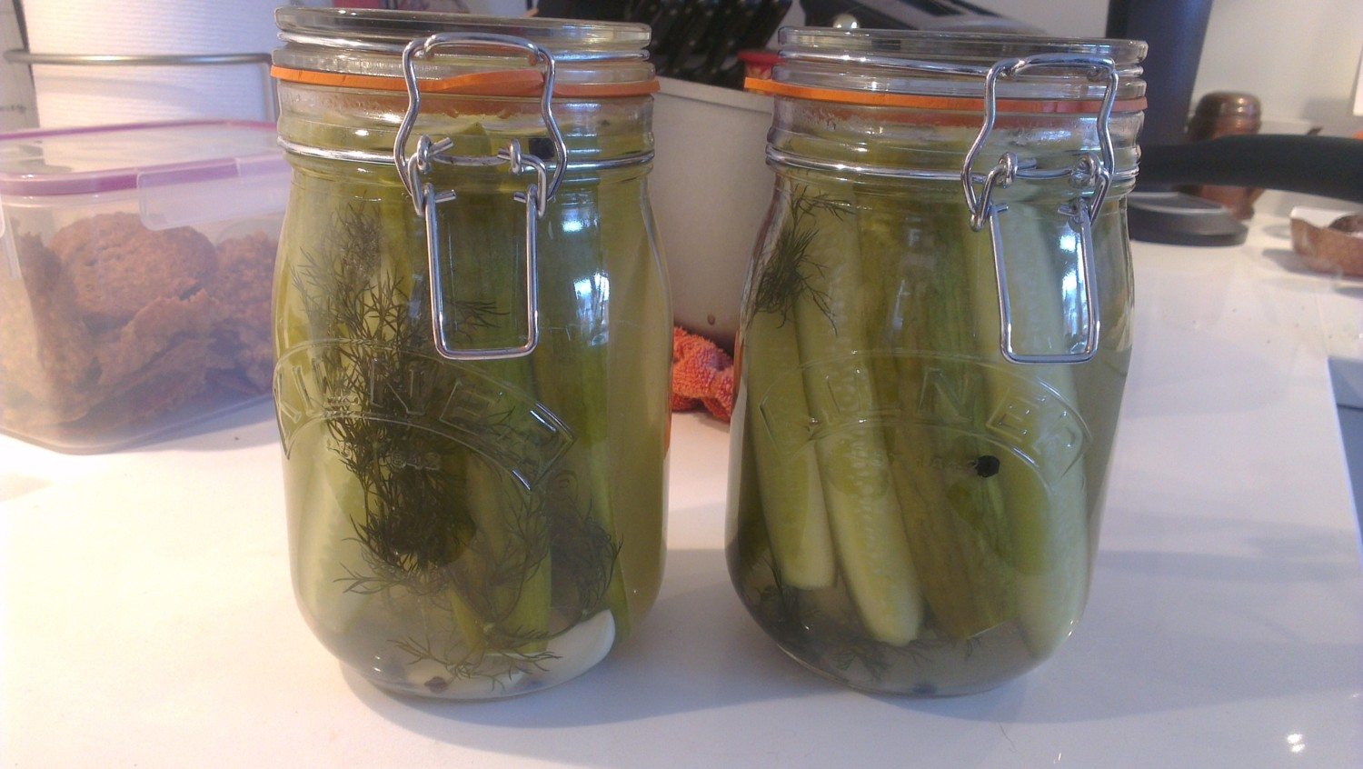 homemade pickles photo