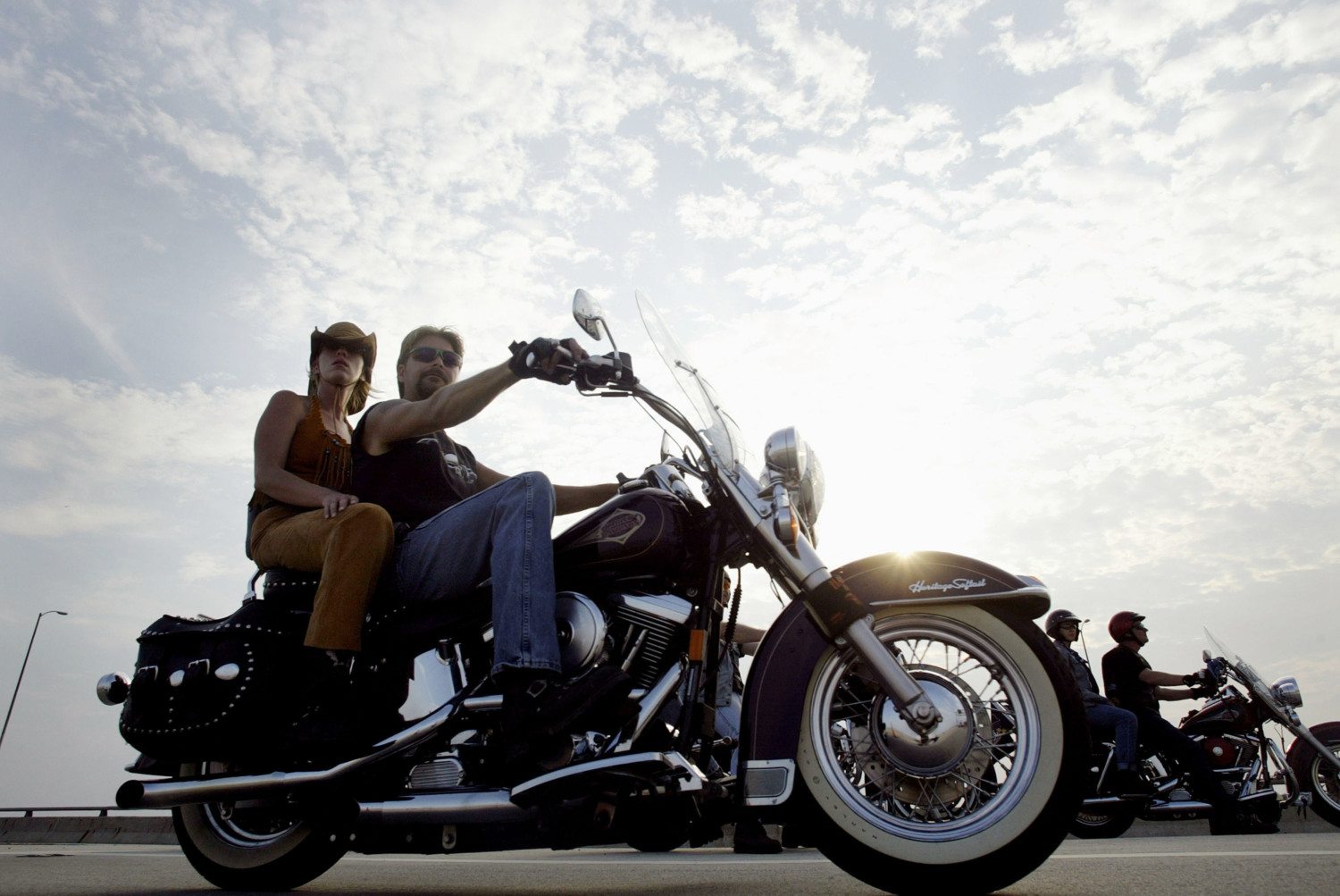 harley-davidson motorcycle photo