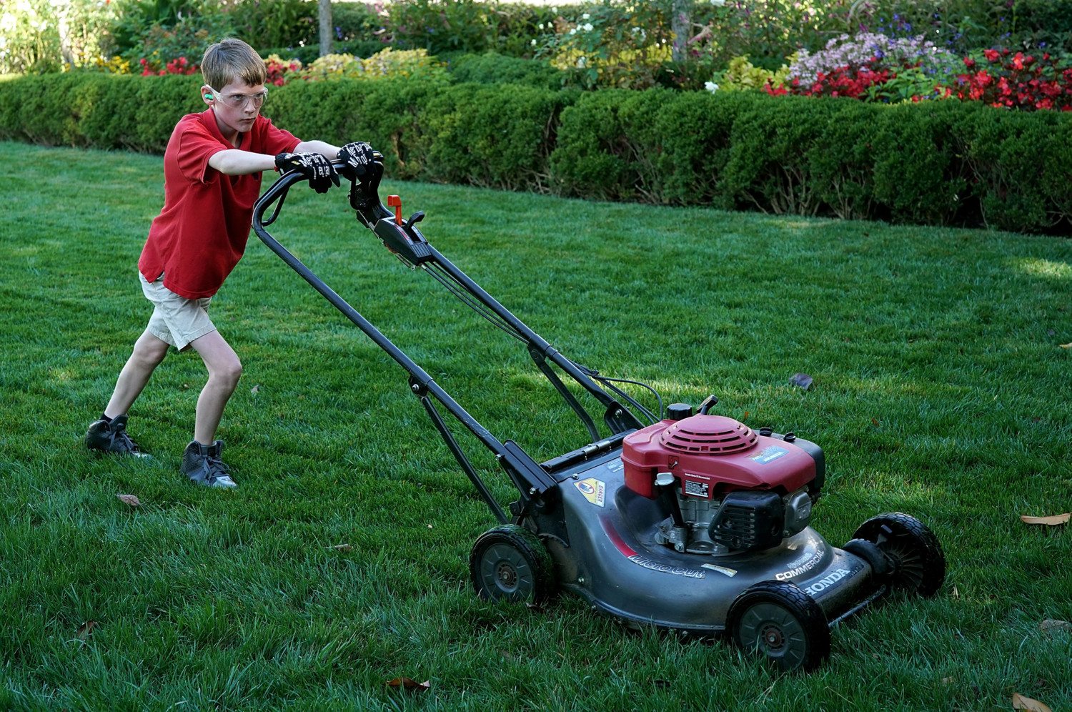 mow the lawn photo