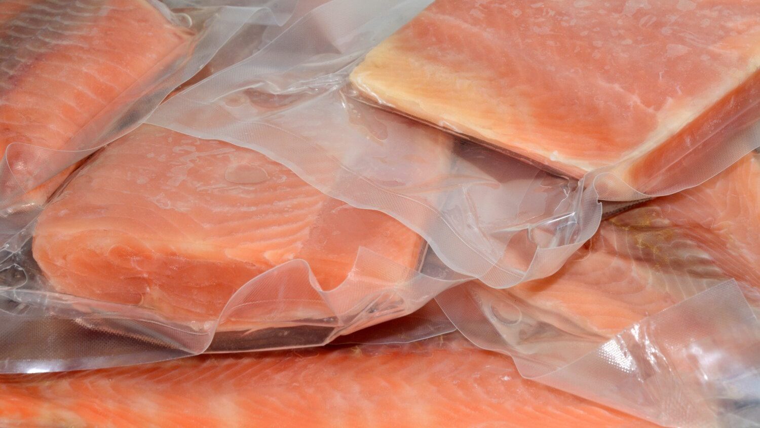 Frozen vacuum packed salmon filets