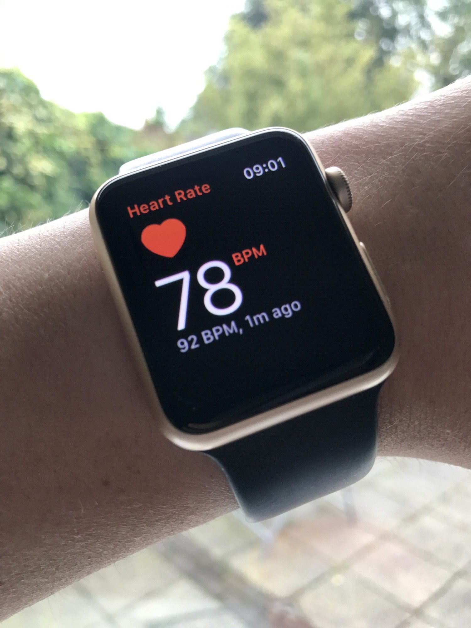 Apple watch heart rate photo