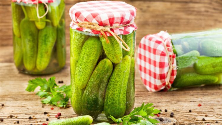 Pickles marinating in jars
