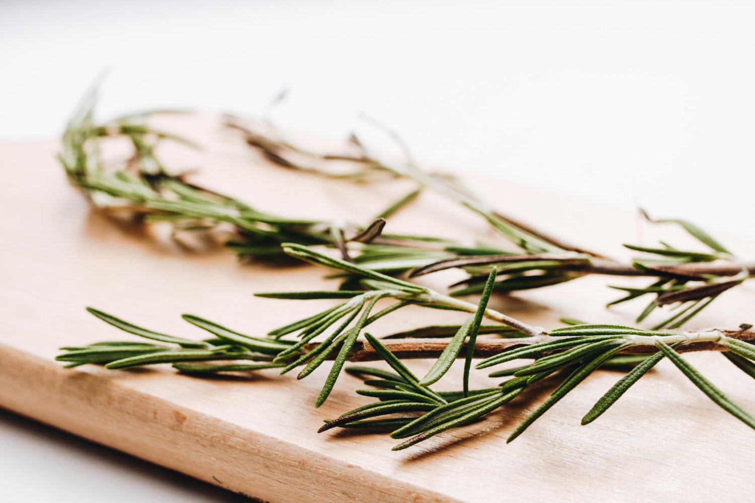 Fresh rosemary on a wooden board. Close up